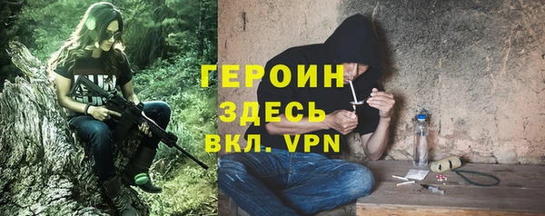сатива Арсеньев