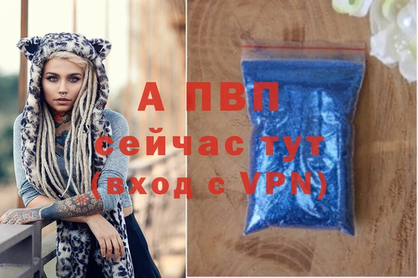 сатива Арсеньев