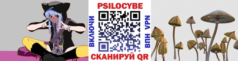 Галлюциногенные грибы ЛСД  omg ссылки  Алагир  как найти закладки 